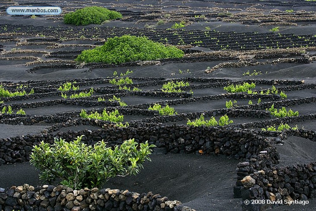 Lanzarote
La Geria
Canarias