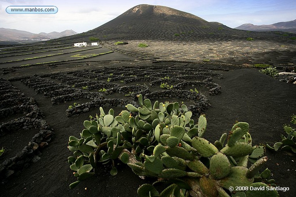 Lanzarote
La Geria
Canarias