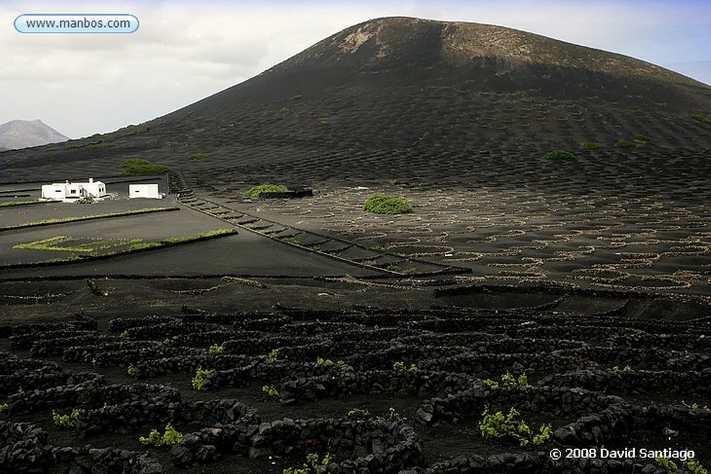 Lanzarote
La Geria
Canarias