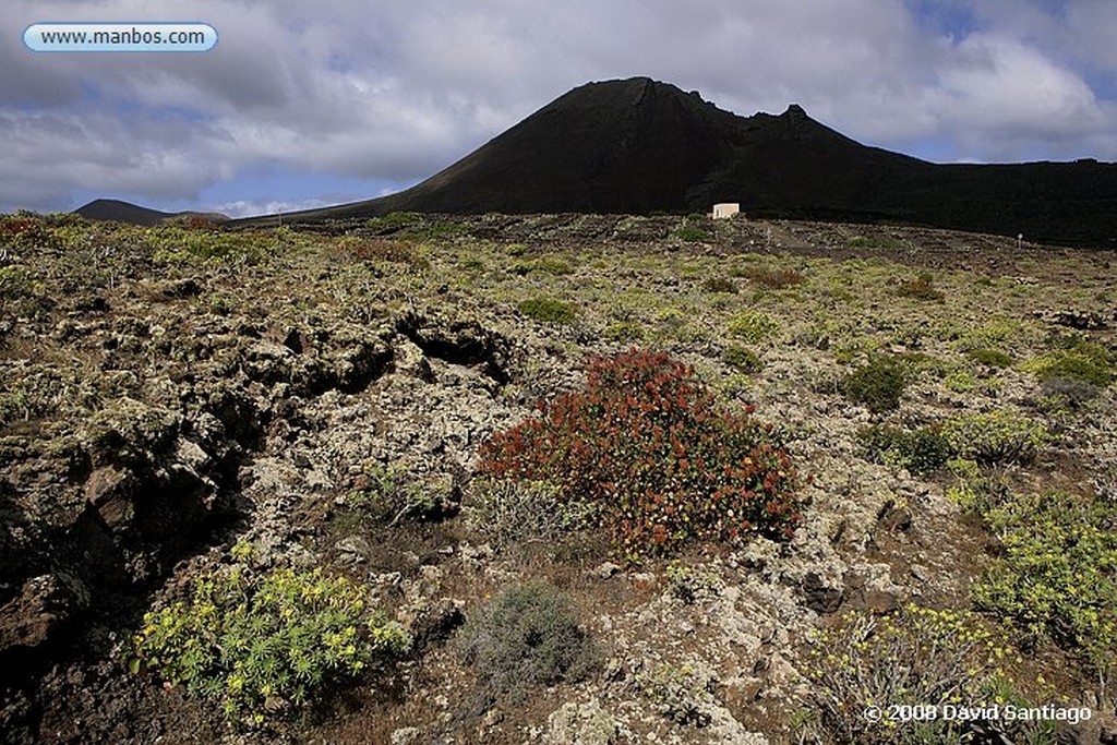 Lanzarote
Los Hervideros
Canarias