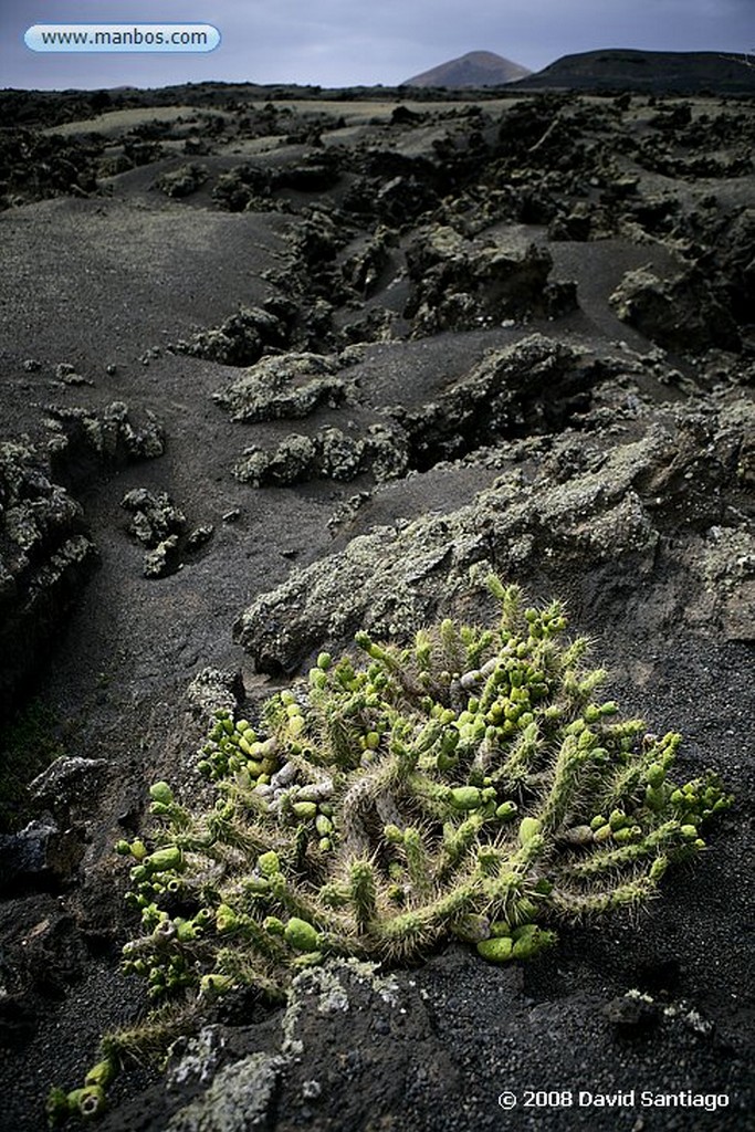 Lanzarote
Parque Nacional del Timanfaya
Canarias