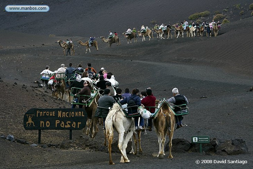 Lanzarote
Parque Nacional del Timanfaya
Canarias