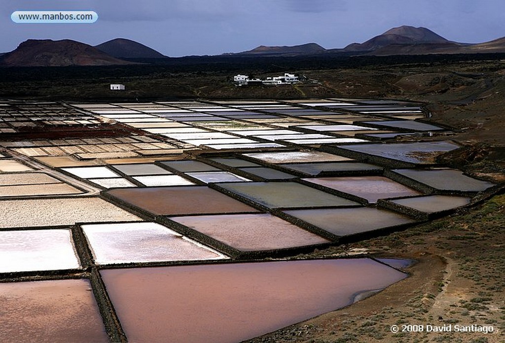 Lanzarote
Salinas de Janubio
Canarias