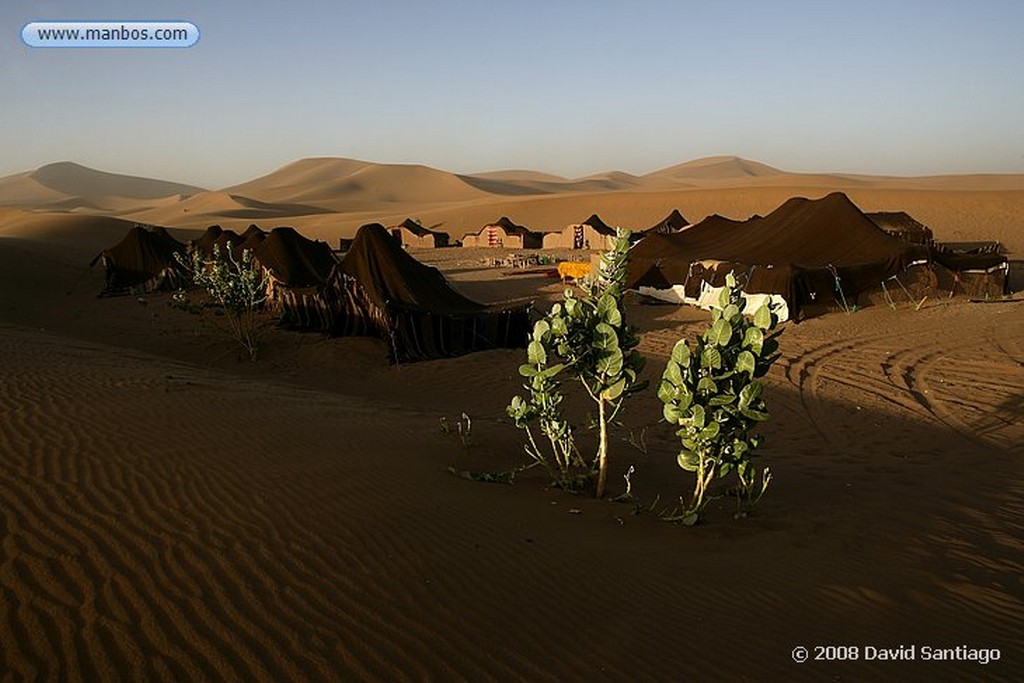 Erg Chigaga
Campamento de Sahara Service en Erg Chigaga
Marruecos