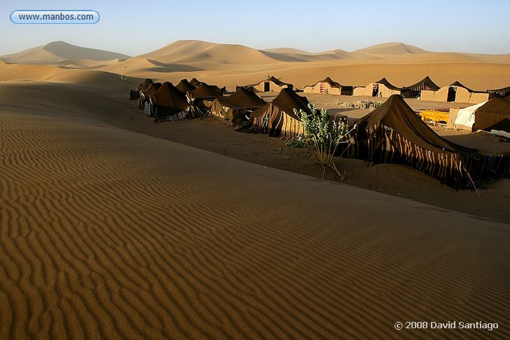 Erg Chigaga
Campamento de Sahara Service en Erg Chigaga
Marruecos