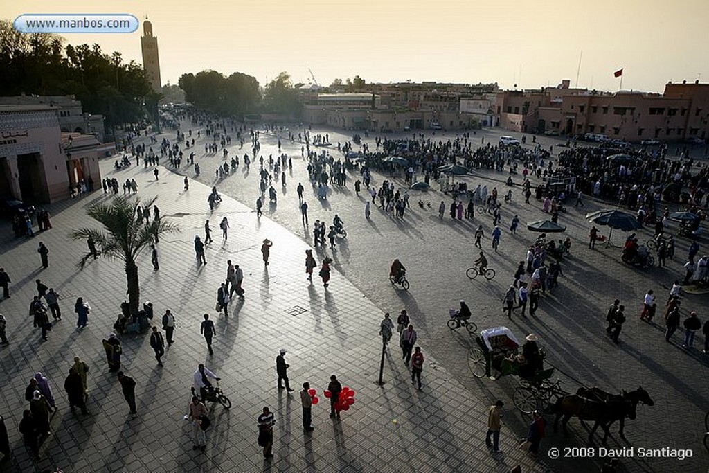 Djemaa el Fna
Djemaa el Fna Marrakech
Marruecos