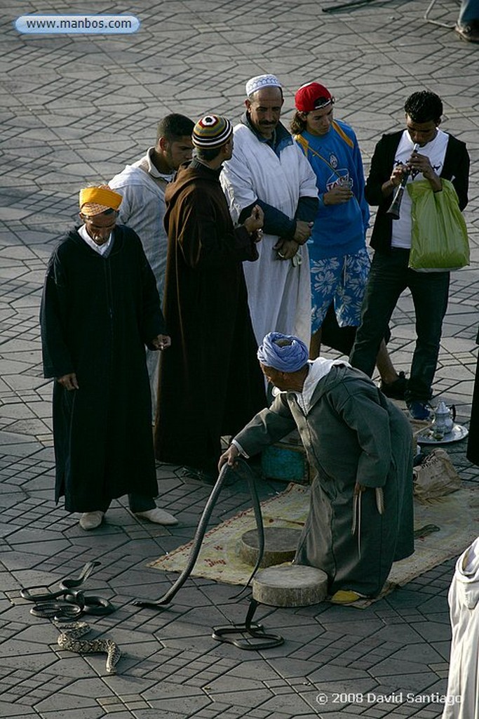 Djemaa el Fna
Djemaa el Fna Marrakech
Marruecos