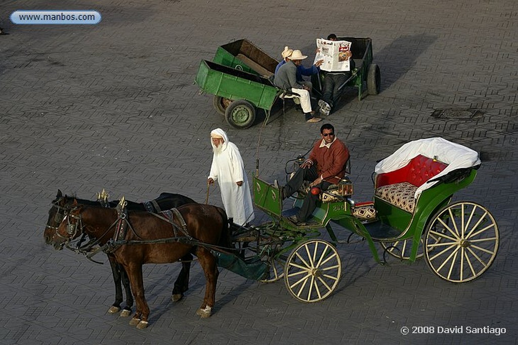 Djemaa el Fna
Djemaa el Fna Marrakech
Marruecos