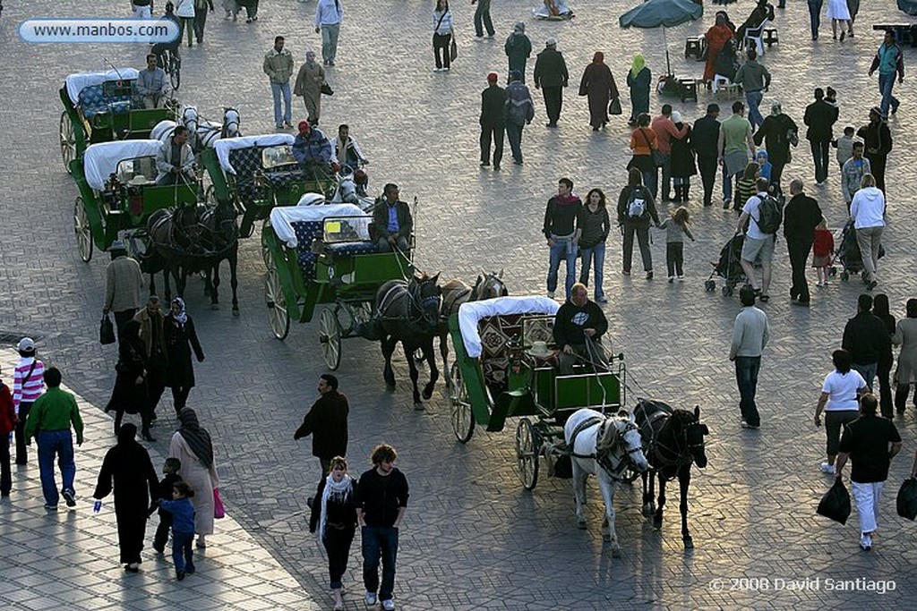 Djemaa el Fna
Djemaa el Fna Marrakech
Marruecos