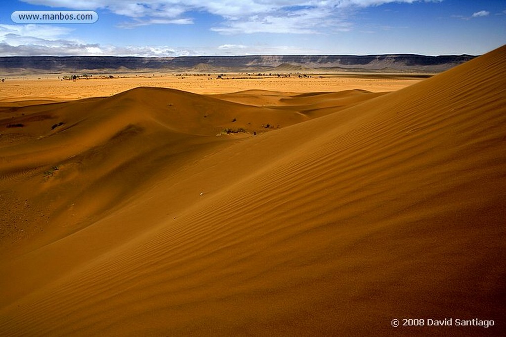 Tinfou
Dunas de Tinfou
Marruecos