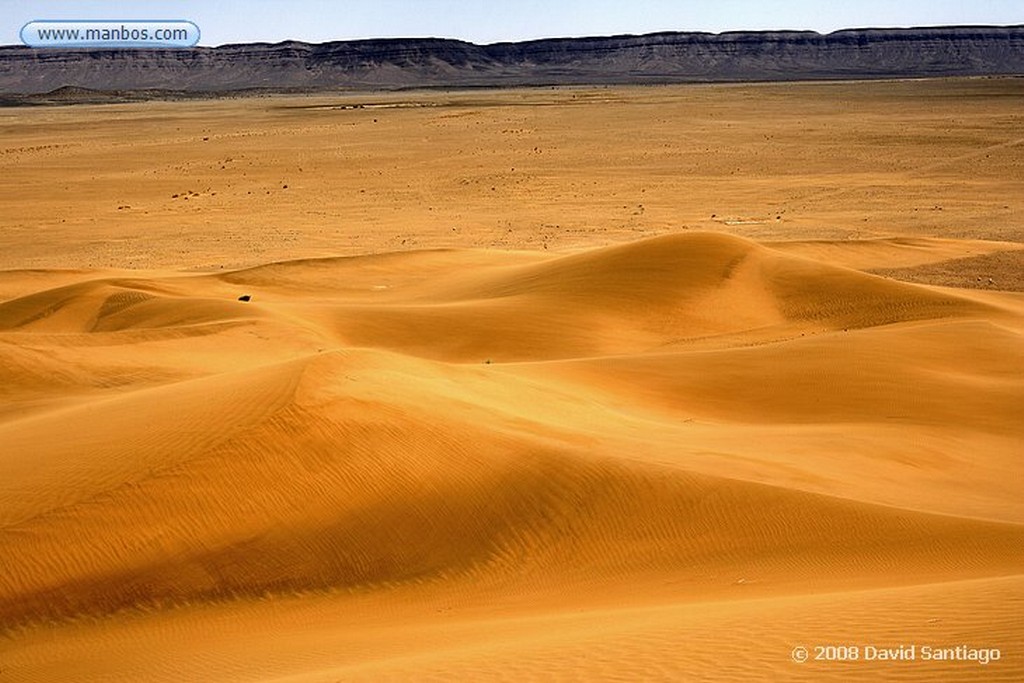 Tinfou
Dunas de Tinfou
Marruecos