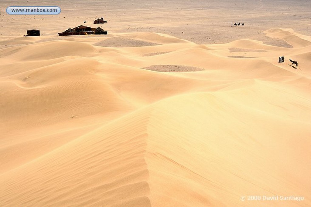 Tinfou
Dunas de Tinfou
Marruecos