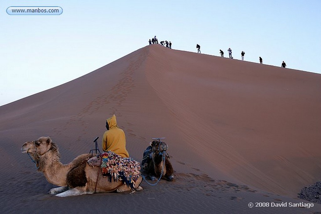 Tinfou
Dunas de Tinfou
Marruecos