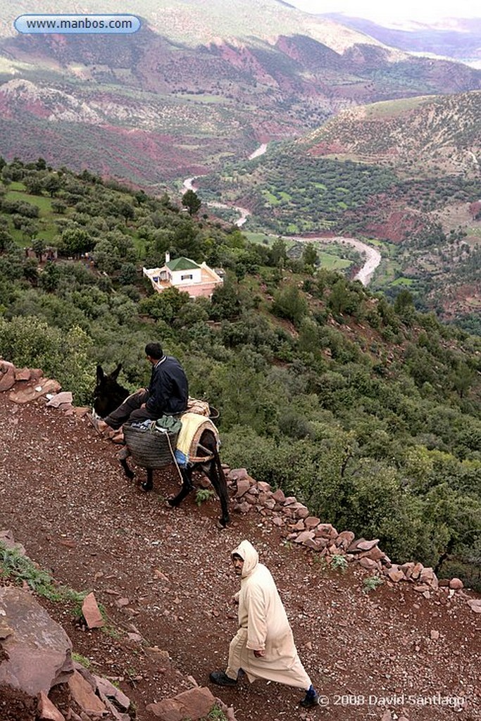 Gran Atlas
Gran Atlas entre Marrakech y Ouarzazate
Marruecos