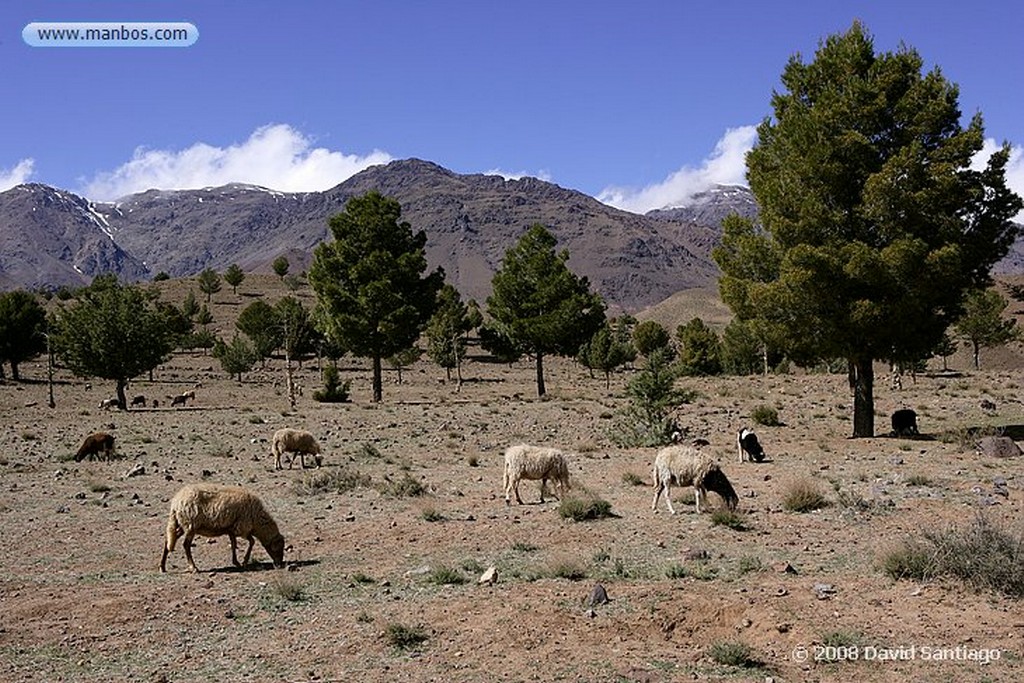 Gran Atlas
Gran Atlas entre Marrakech y Ouarzazate
Marruecos