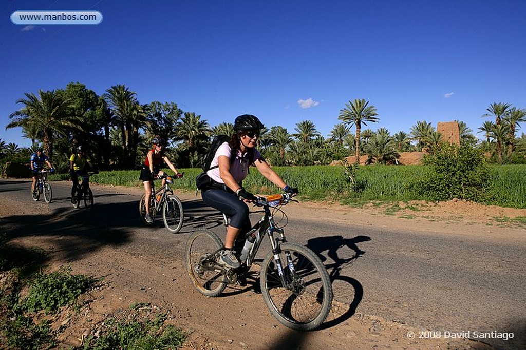 Ouarzazate
Palmerales en el Valle del Dra Ouarzazate
Marruecos