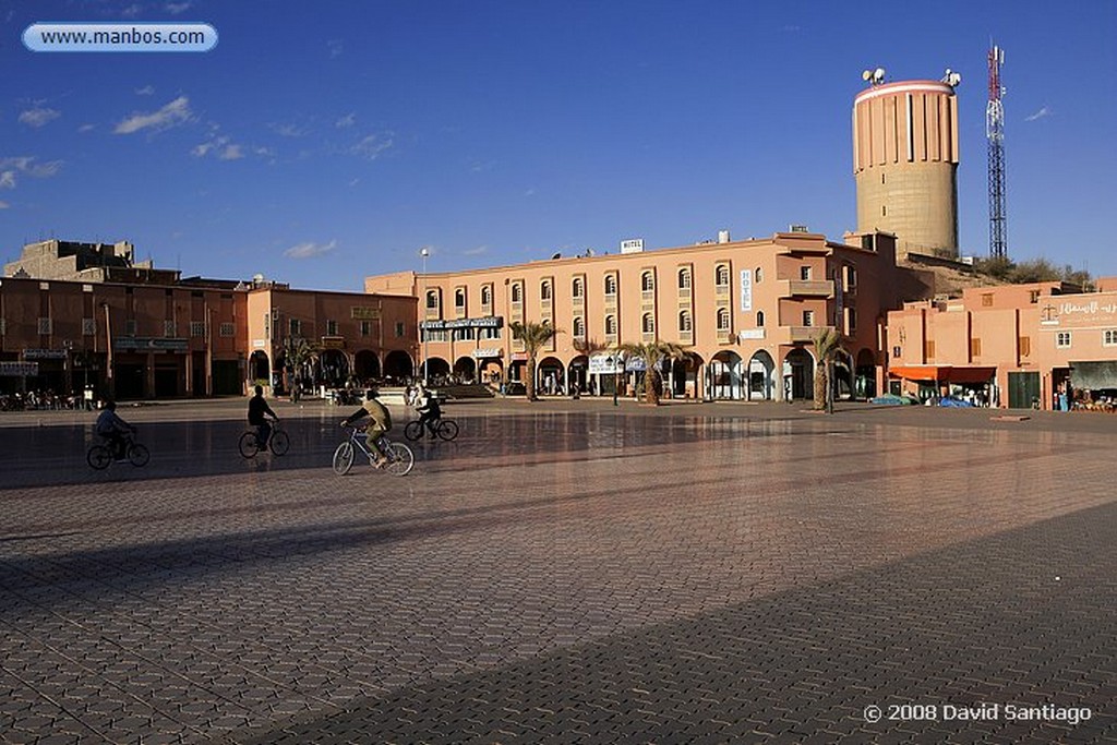 Ouarzazate
Palmerales en el Valle del Dra Ouarzazate
Marruecos