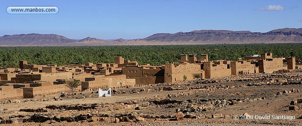 Tamegroute
Tormenta de Arena en el Palmeral de Tamegroute
Marruecos