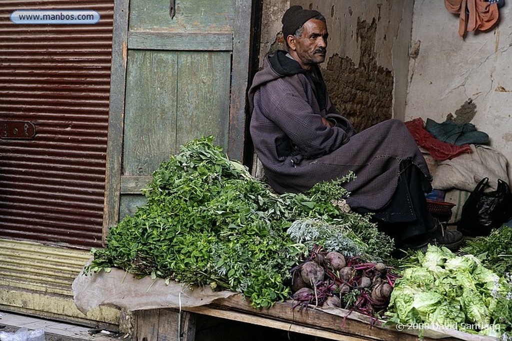 Marrakech
Zoco en La Medina de Marrakech
Marruecos