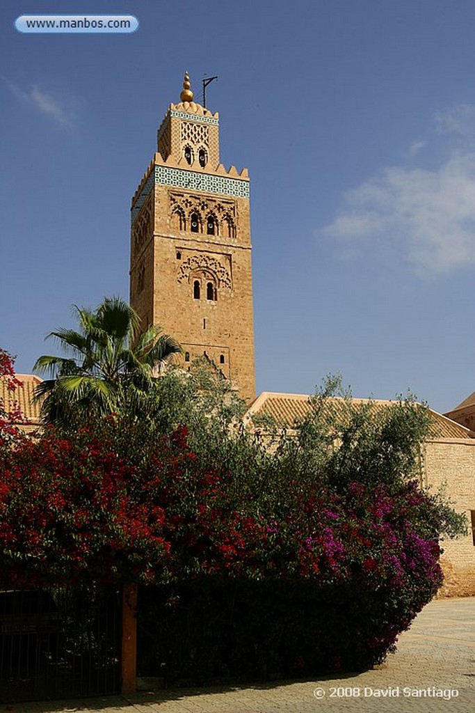 Marrakech
Zoco en La Medina de Marrakech
Marruecos