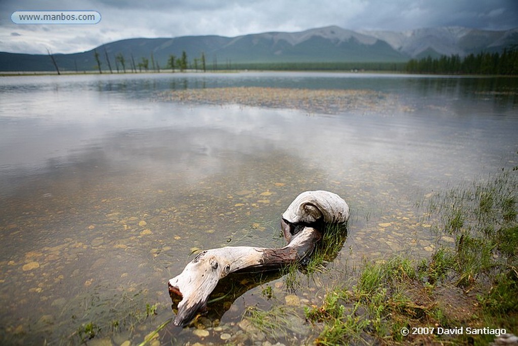 Lago Khovsgol
Mudanza familia nómada
Mongolia