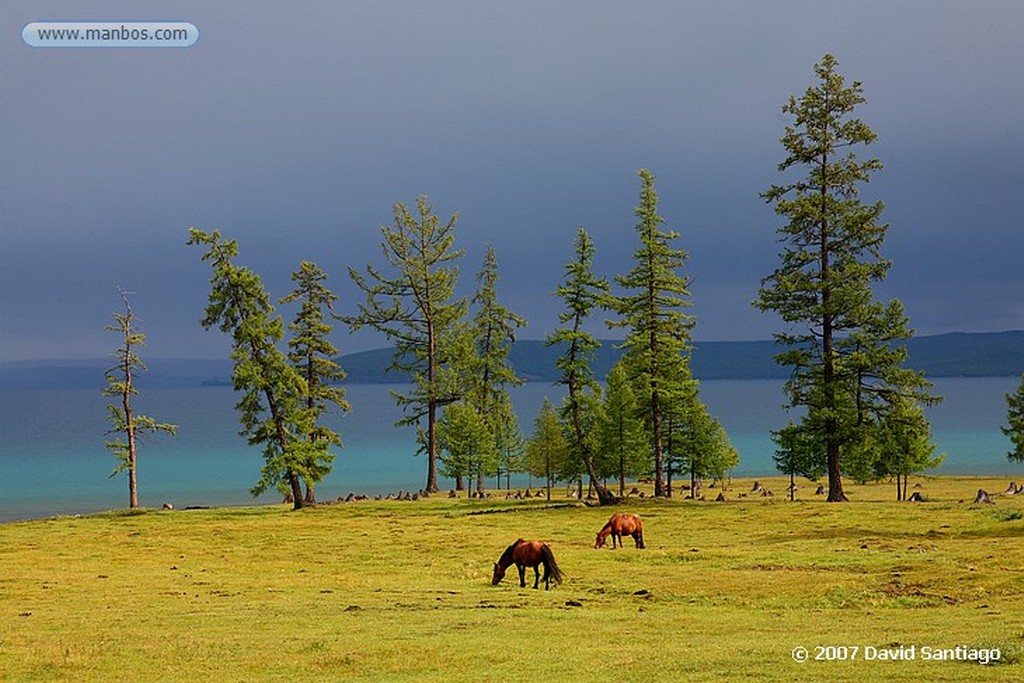 Lago Khovsgol
Lago Khovsgol
Mongolia