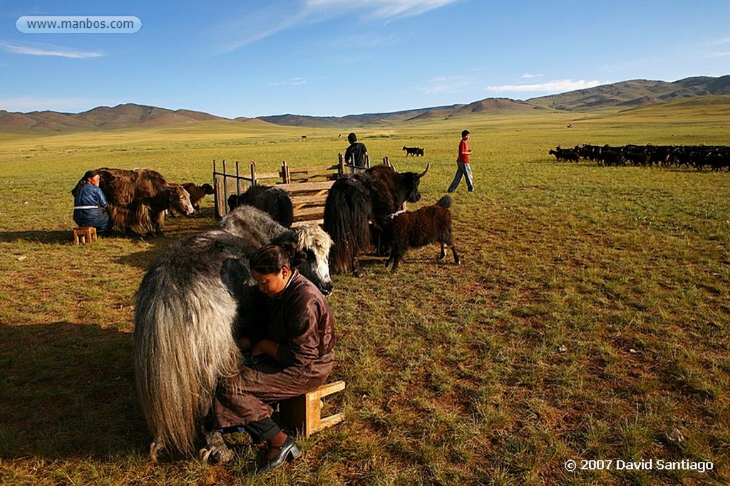 Shine Ider
Paisanos de Shine Ider
Mongolia