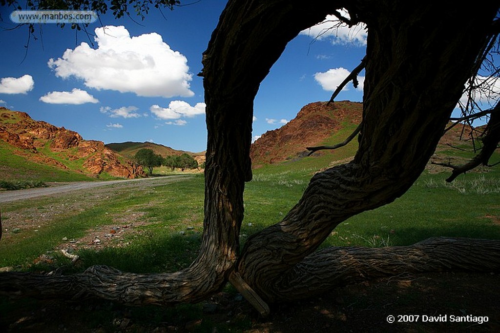 Ongiin Khiid
Ruinas de Ongiin Khiid
Mongolia