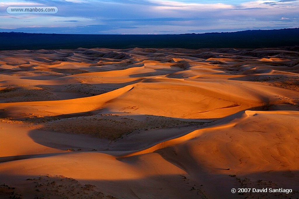 Desierto del Gobi
Khongoryn els (desierto del Gobi)
Mongolia