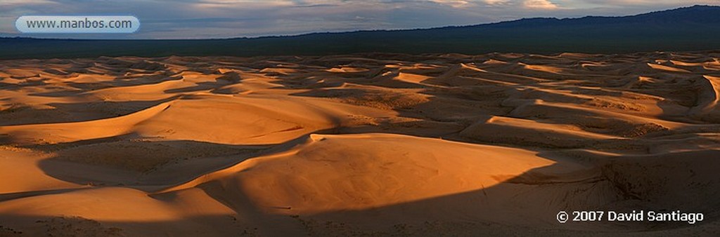 Desierto del Gobi
Khongoryn els (desierto del Gobi)
Mongolia