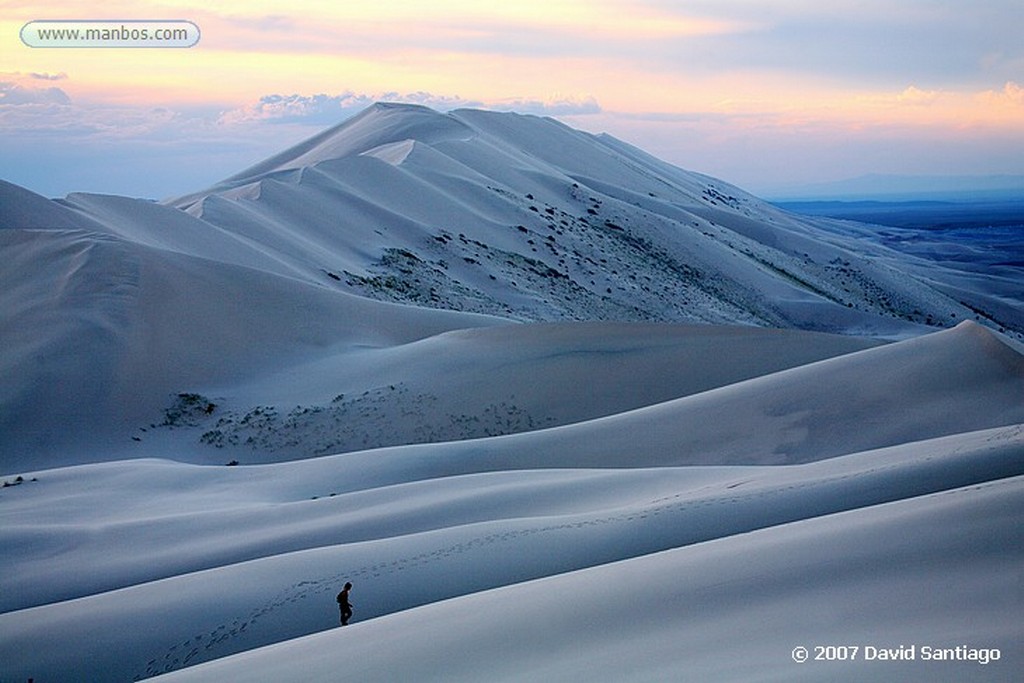 Desierto del Gobi
Khongoryn els (desierto del Gobi)
Mongolia