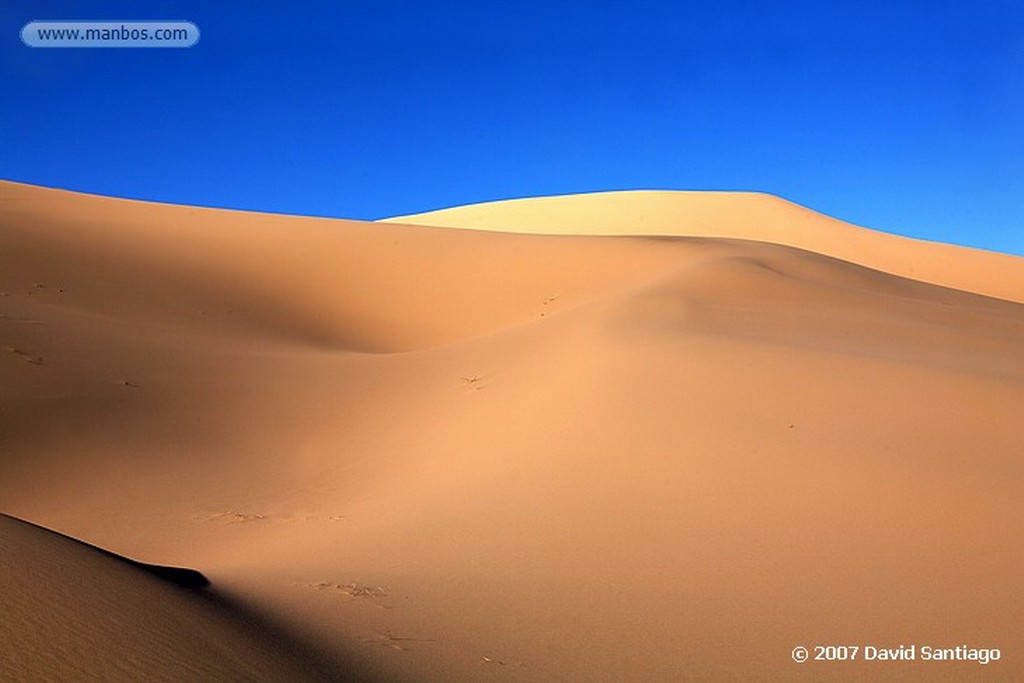 Desierto del Gobi
Khongoryn els (desierto del Gobi)
Mongolia