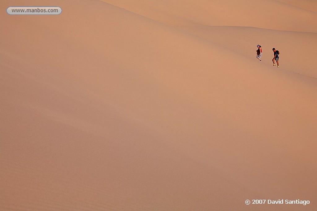 Desierto del Gobi
Khongoryn els (desierto del Gobi)
Mongolia