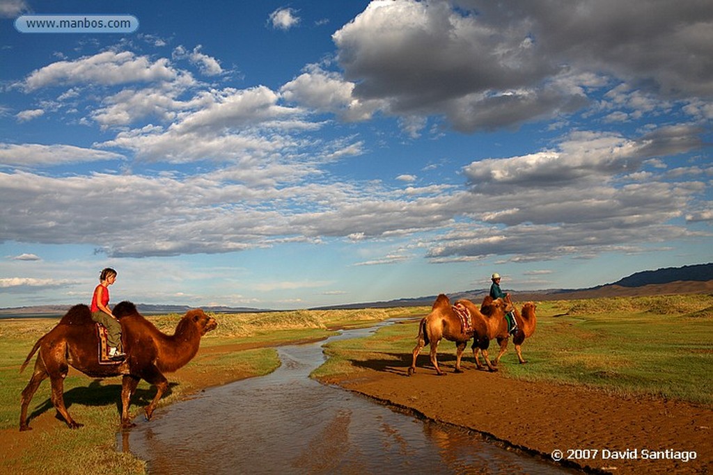 Desierto del Gobi
Khongoryn els (desierto del Gobi)
Mongolia