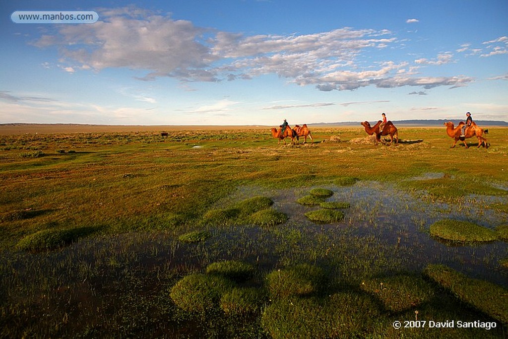 Desierto del Gobi
Khongoryn els (desierto del Gobi)
Mongolia