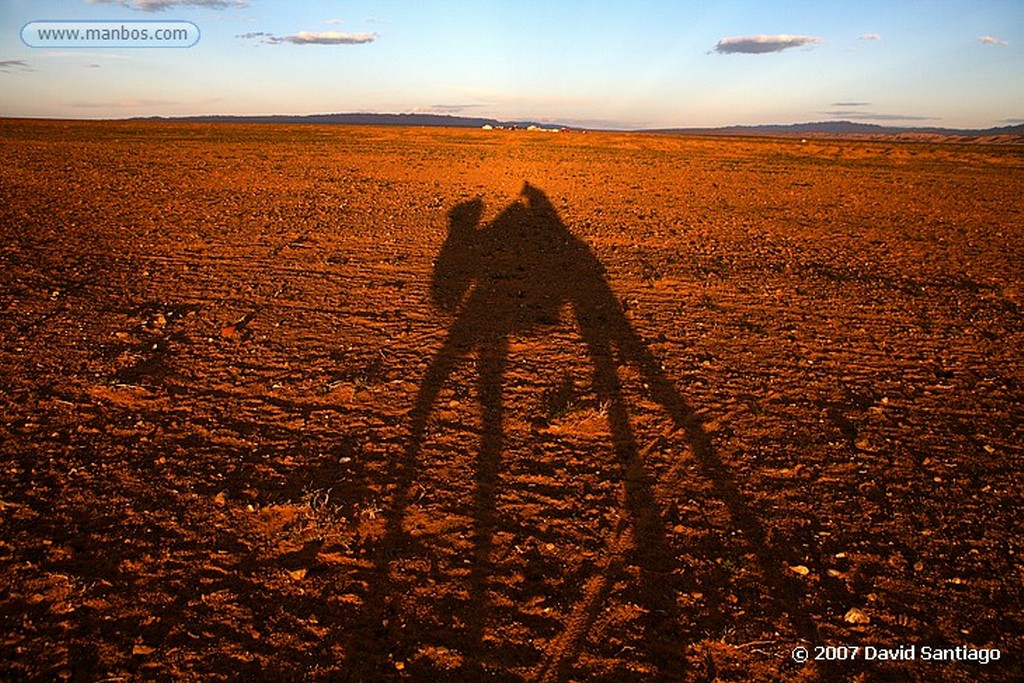 Desierto del Gobi
Khongoryn els (desierto del Gobi)
Mongolia