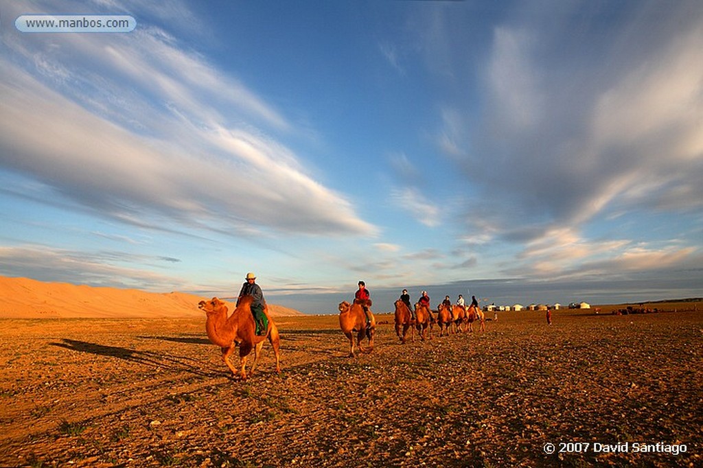 Desierto del Gobi
Khongoryn els (desierto del Gobi)
Mongolia