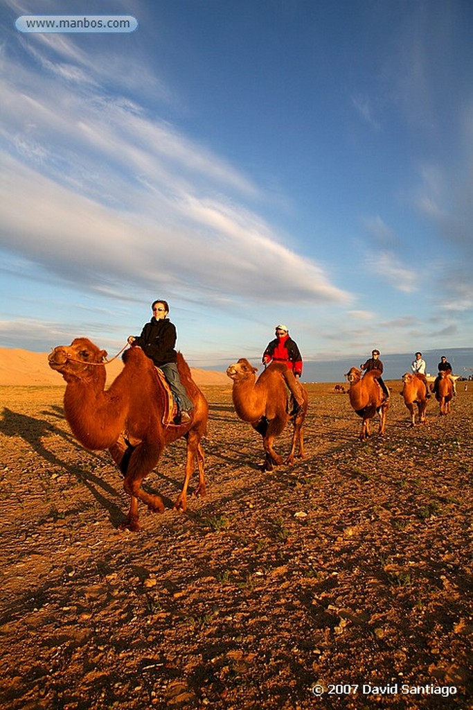 Desierto del Gobi
Khongoryn els (desierto del Gobi)
Mongolia