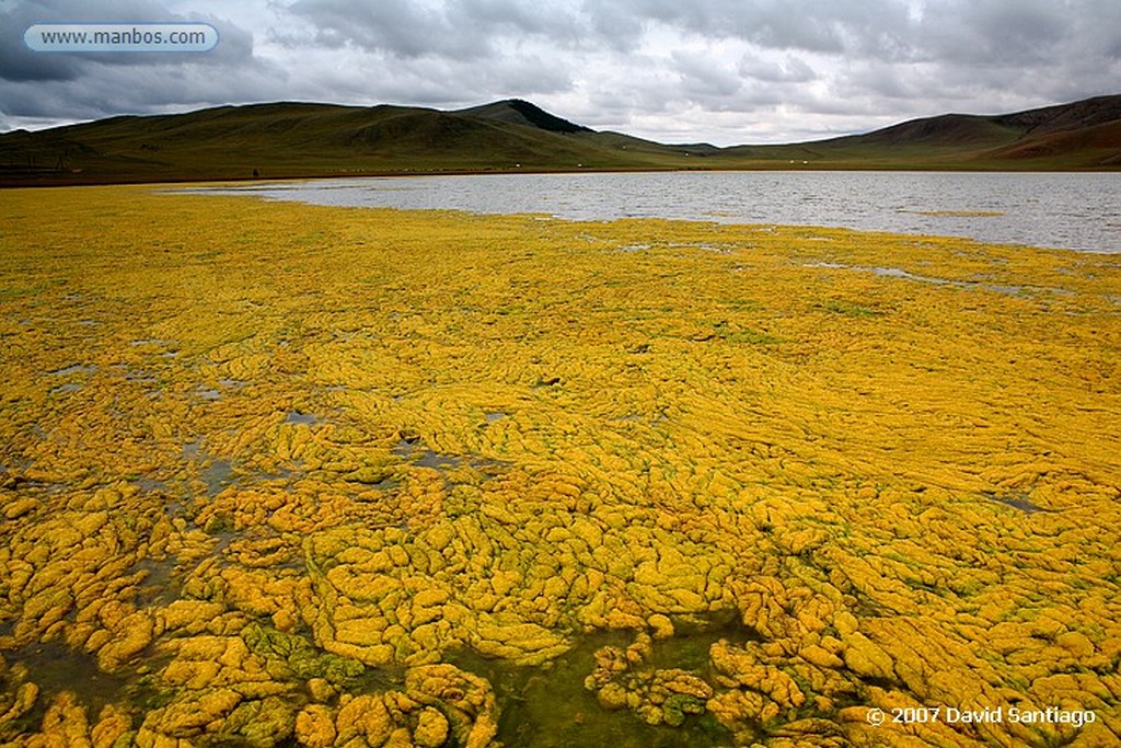 Bulgan
Estepa.Aimag de Bulgan
Mongolia