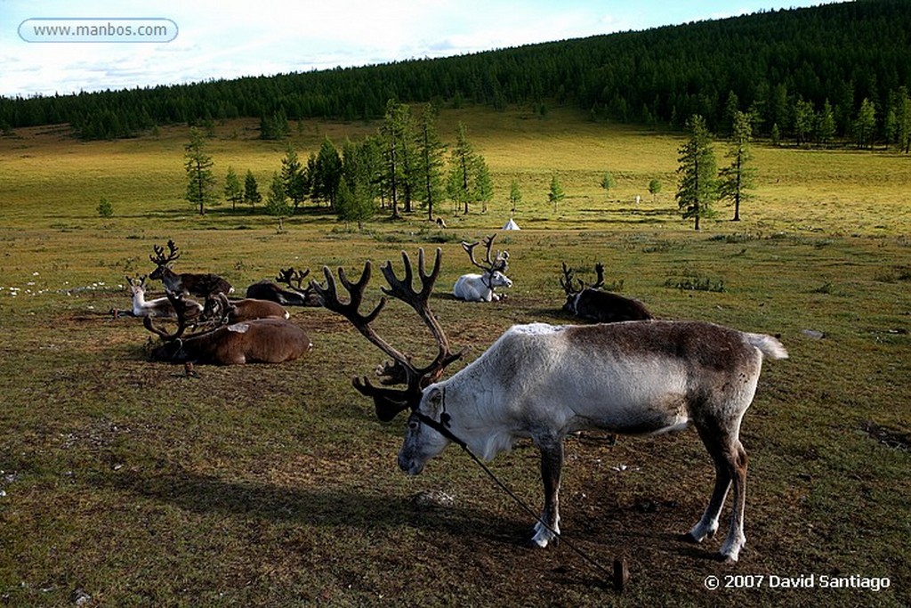 Khovsgol Nuur
Familia nómada. Lago Khovsgo
Mongolia