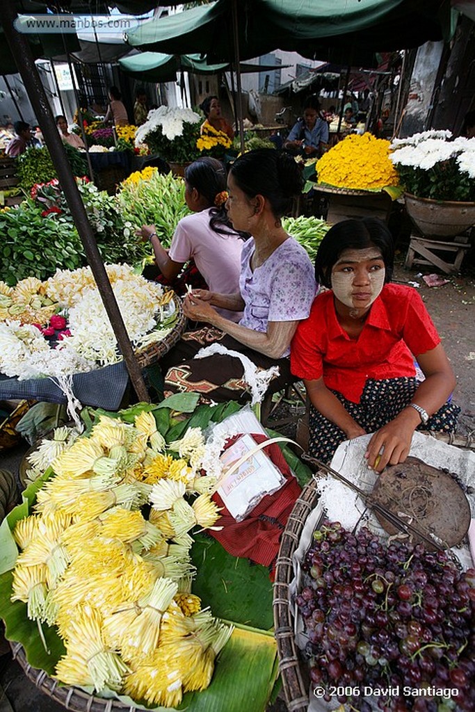 Mandalay
Mercado de Productos Agricolas de Mandalay Myanmar
Mandalay