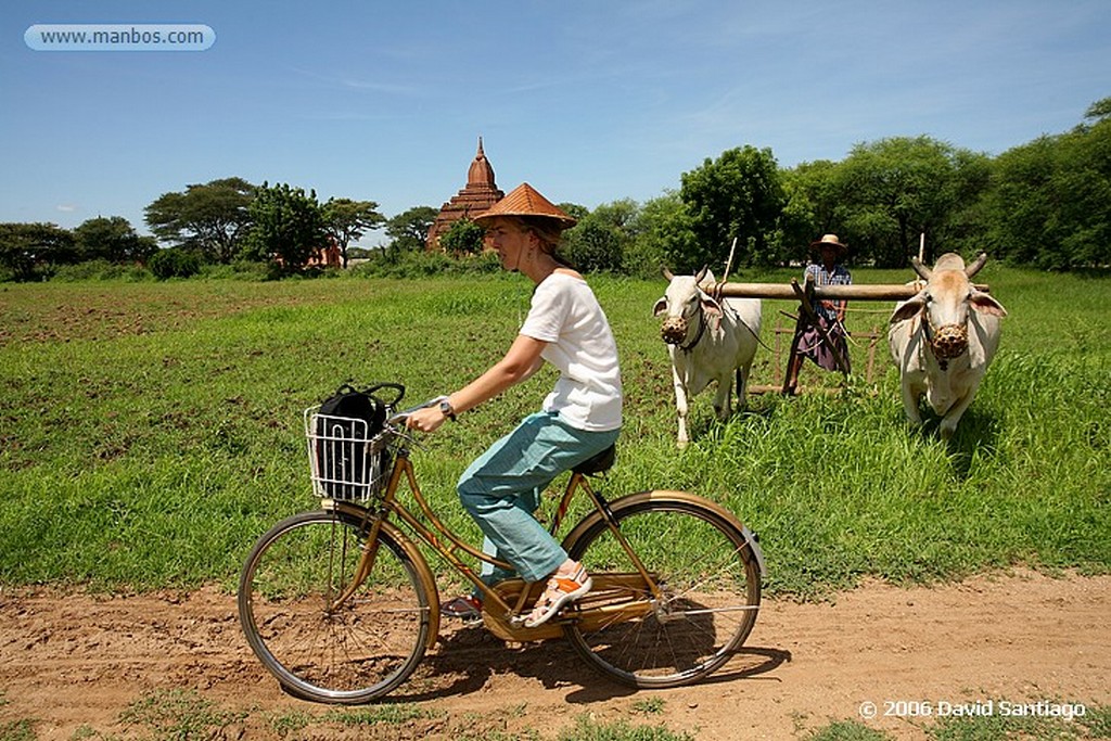 Pagan
Gawdawpalin Pahto Pagan Myanmar
Pagan