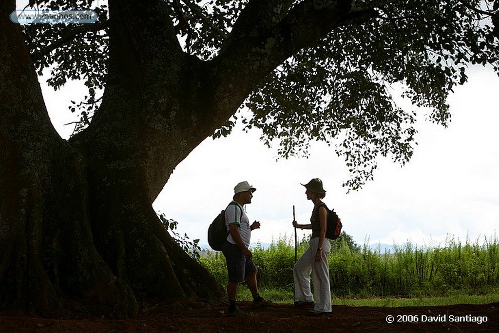 Kalaw
Agricultor en Kalow Myanmar
Kalaw