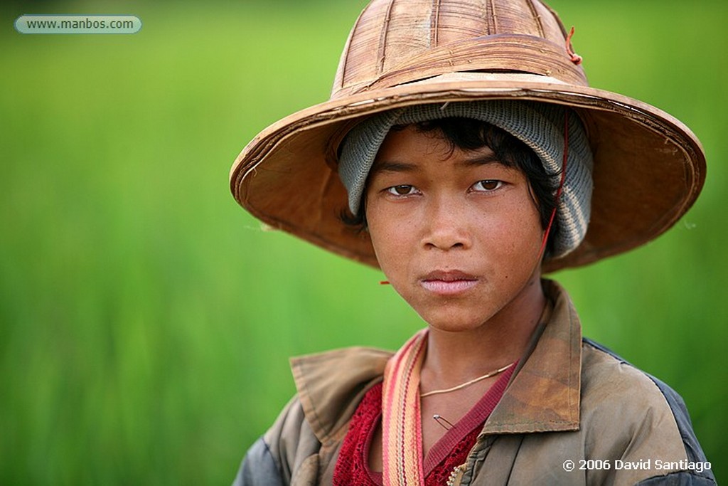 Kalaw
Agricultor en Kalow Myanmar
Kalaw