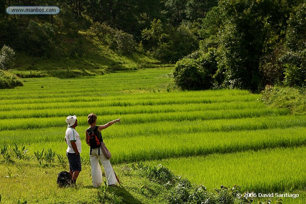 Kalaw
Agricultor en Las Proximidades A kalow
Kalaw