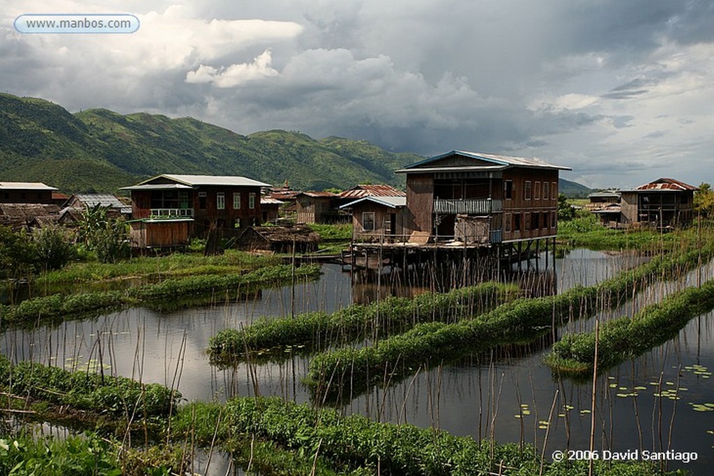 Lago Inle
Tomateras en Nyaungshwe en el Lago Inlhe Myanmar
Lago Inle