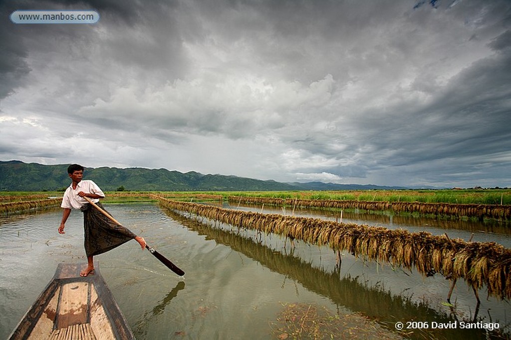 Lago Inle
Mercado de ywama en el Lago Inle Myanmar
Lago Inle