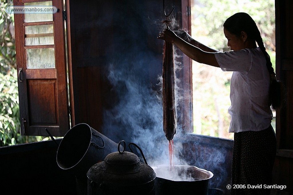 Lago Inle
Fabricacion de Seda en Mujer Jirafa en Kaung Daing Lago Inle Myanmar
Lago Inle