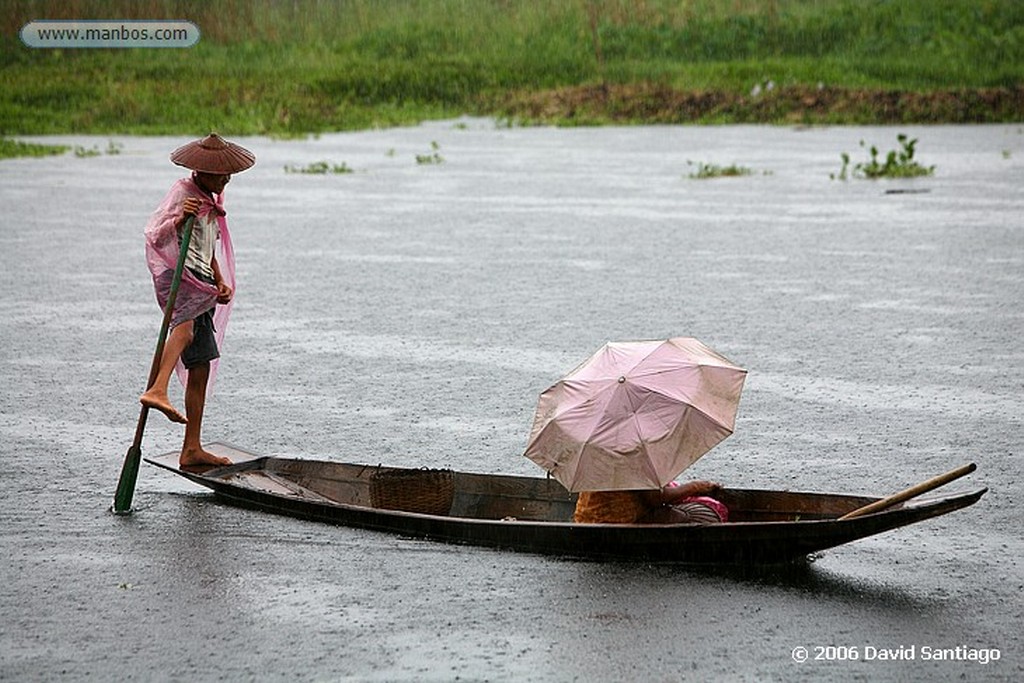 Lago Inle
Birmana Estudiando en el Nga Hpe Chaung en el Lago Inle Myanmar
Lago Inle