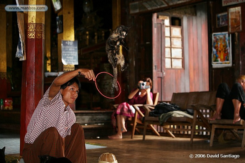 Lago Inle
Nga Hpe Chaung en el Lago Inle Myanmar
Lago Inle